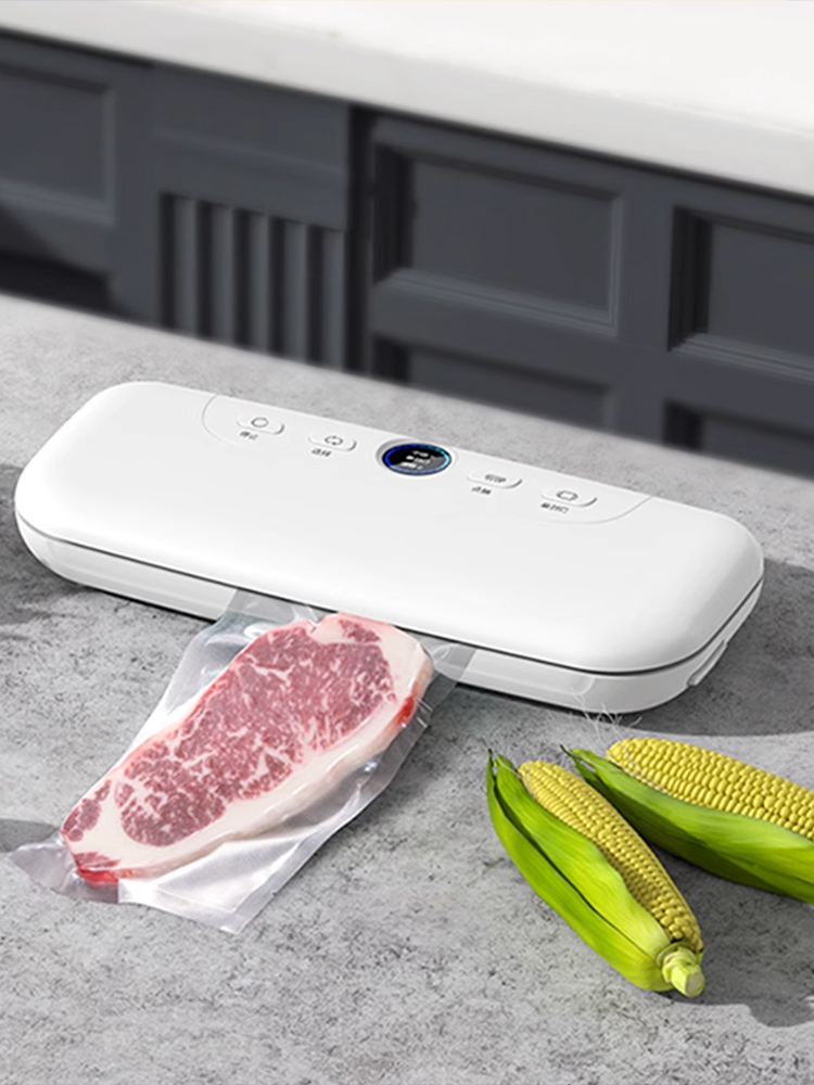 Food Storage Machine - 100 sacs sous vide 18x25cm pour
