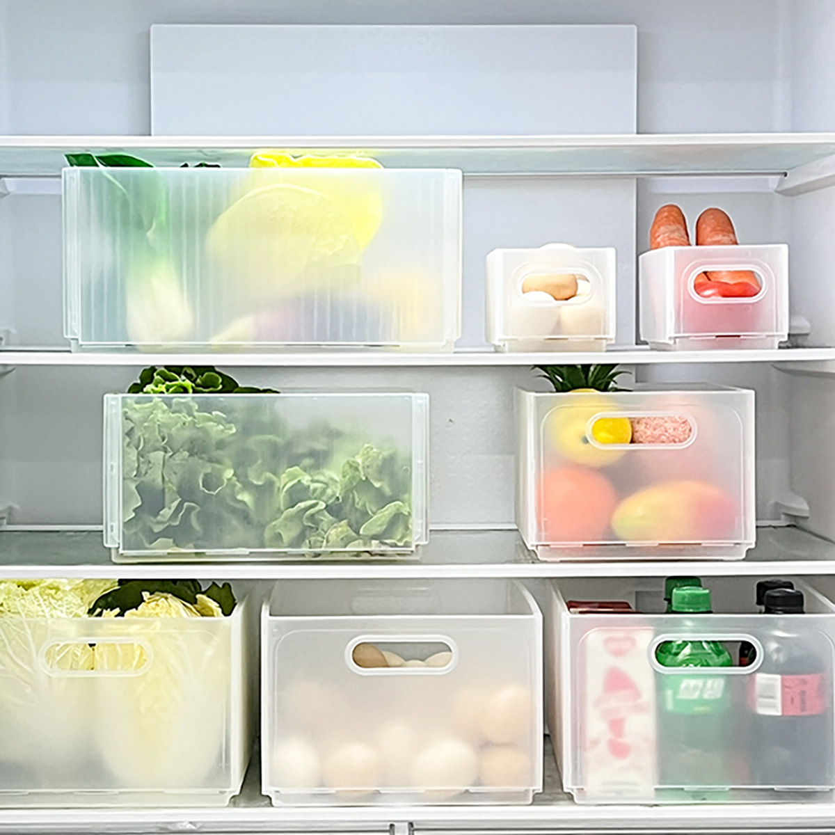 WORTHBUY – boîte de rangement  - Xxl Food Storage Container avis et prix
