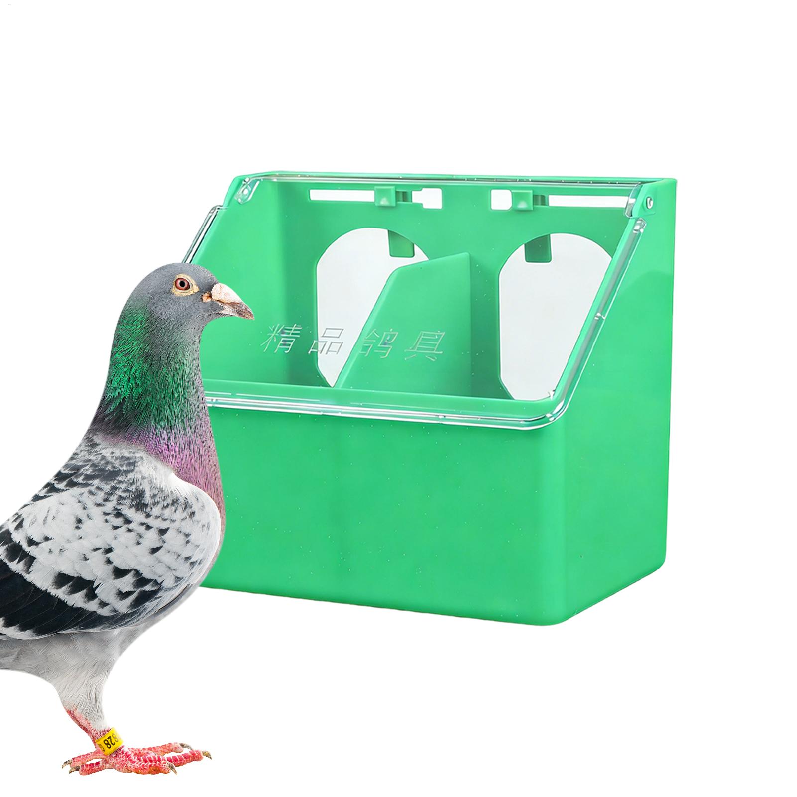 Mangeoire suspendue pour oisea - Xxl Food Storage Container avis et prix