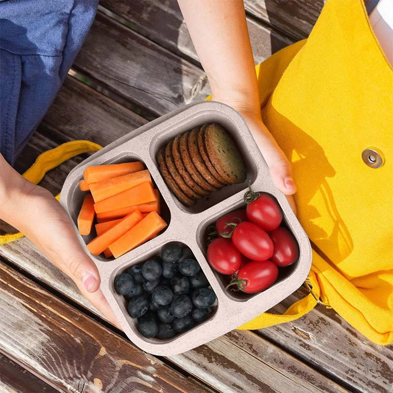 Boîte de Rangement des citroui - Food Storage With Compartments avis et prix