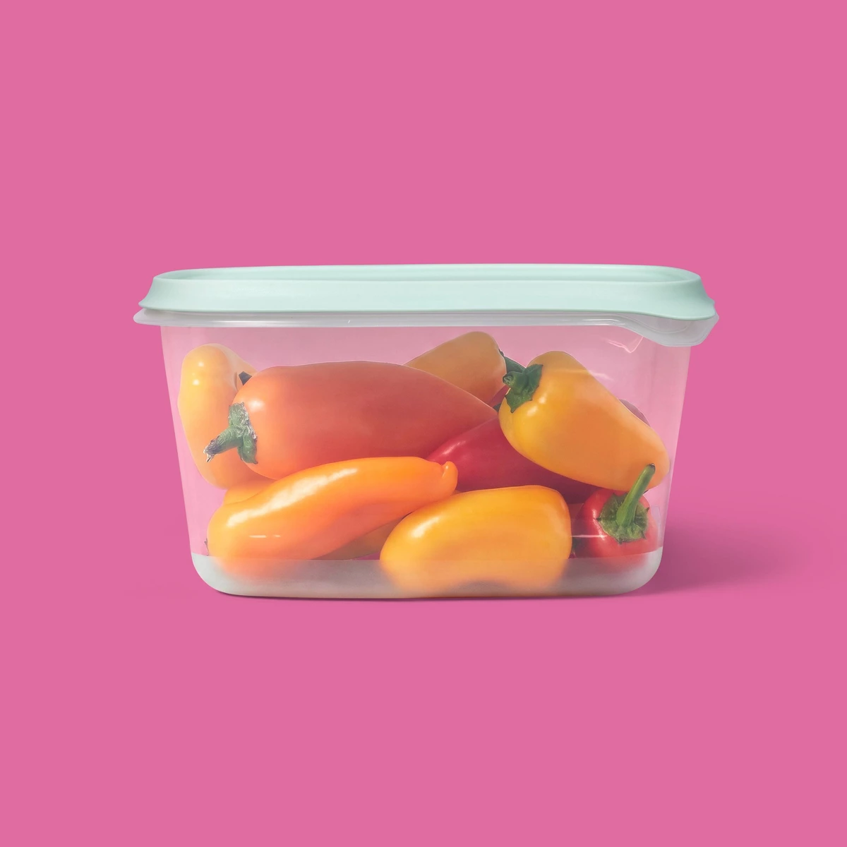 Nouveauté 2026 – Lot de 2 gran - Food Storage Large avis et prix